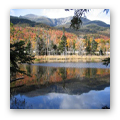 Arran Lake Study