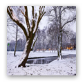 Cold Weather