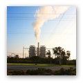 Fossil Fuel
