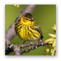Location, Location, Location . . . Migration, Migration, Migration
