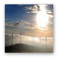 waubra wind farm