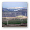 windmills