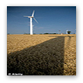 winds-of-change