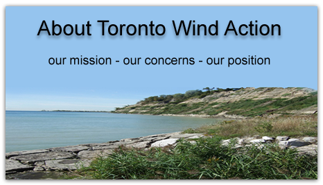 about Toronto Wind Action