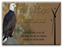 Save the Eagles International